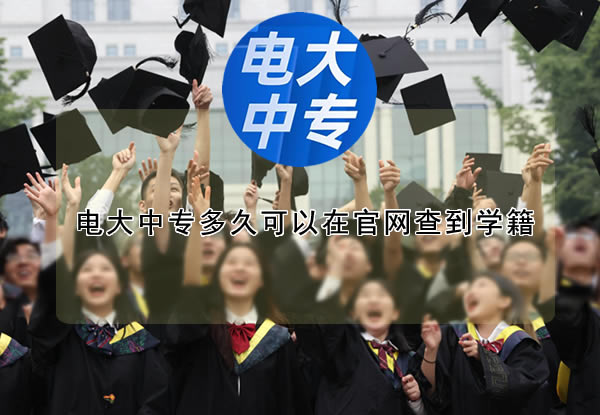 電大中專多久可以在官網查到學籍？